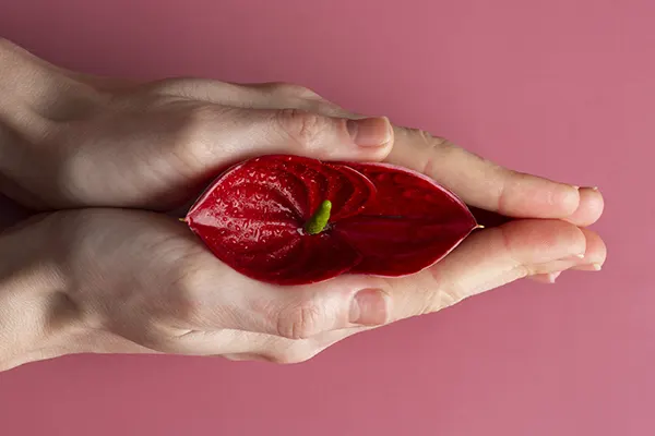La estética íntima femenina ha ganado protagonismo en los últimos años, y una de las inquietudes más comunes en consulta es si es normal tener los labios mayores arrugados. Aunque...